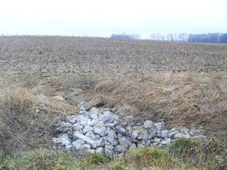 Property photo 3 - 80+/- Acres Offered in 4 Tracts
